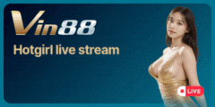 Banner nhà cái vin88