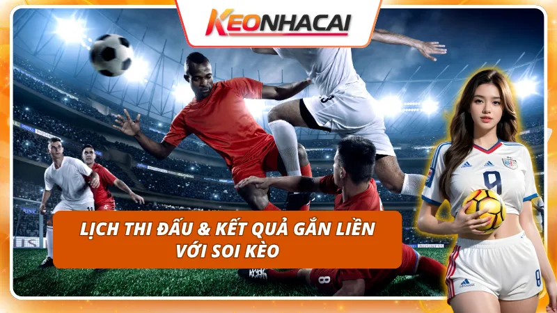 Xem lịch thi đấu cùng kết quả bóng đá để soi kèo như cao thủ