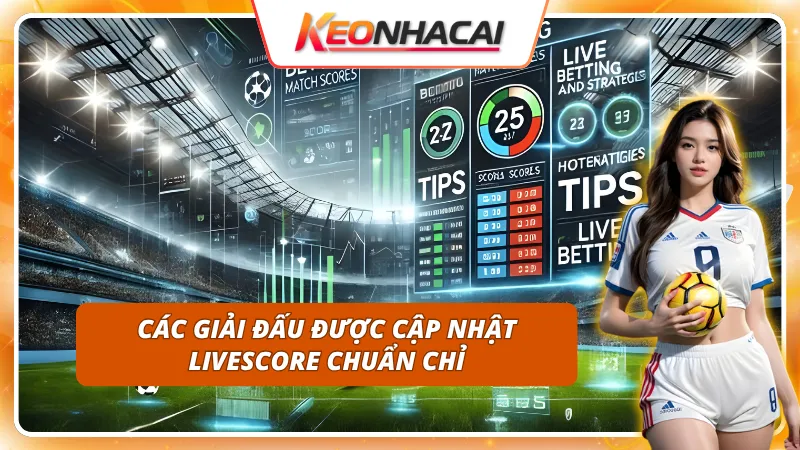 Livescore bao phủ từ giải quốc tế đến giải khu vực