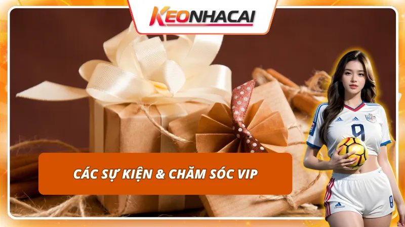 Các sự kiện và cách chăm sóc VIP của nhà cái ZO88 vô cùng đặc biệt