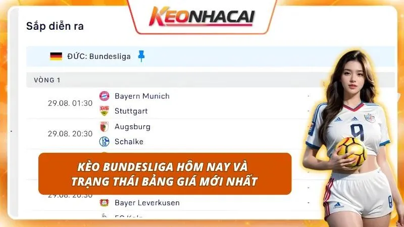 Theo dõi sát sao bảng cược để nhận diện nhanh xu hướng dòng tiền