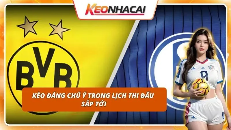 Tập trung cược vào các ông lớn để bảo toàn nguồn vốn