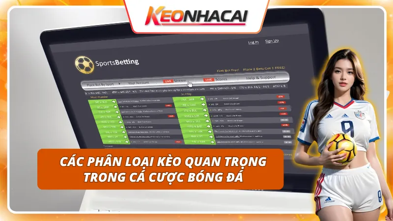 Phân biệt rõ từng loại kèo nhà cái trước khi xuống tiền